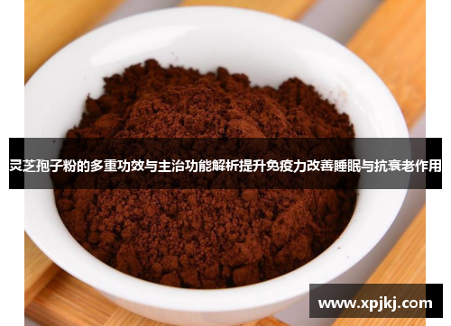 灵芝孢子粉的多重功效与主治功能解析提升免疫力改善睡眠与抗衰老作用