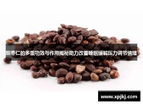 酸枣仁的多重功效与作用揭秘助力改善睡眠缓解压力调节情绪